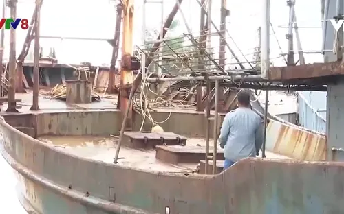 Vì sao tàu cá 67 thất bại