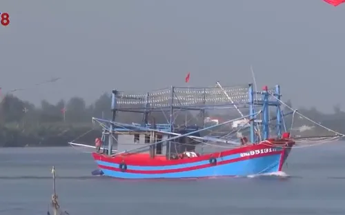 Tàu câu mực khơi - cột mốc sống về chủ quyền biển đảo