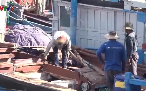 Ngư dân khai thác cá ngừ đại dương phấn khởi vì giá dầu giảm