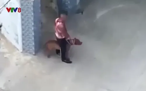 Thả chó dữ cắn hàng xóm vì mâu thuẫn