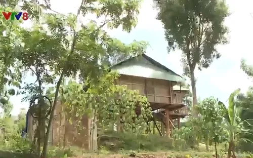 Xây dựng công trình trái phép trên đất rừng phòng hộ