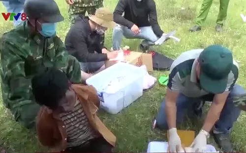 Gia tăng tình trạng buôn bán, sử dụng ma túy ở vùng cao Quảng Trị