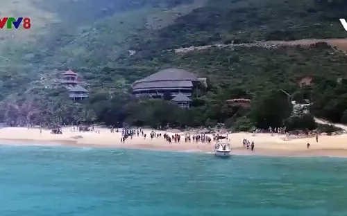 Du lịch biển Bình Định hút khách