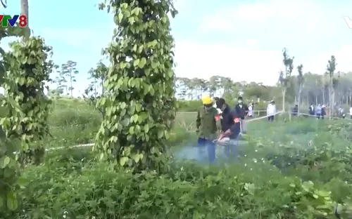 "Loay hoay" tìm hướng xử lý tình trạng chiếm đất