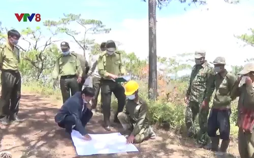 Lâm Đồng với bài toán nhân lực giữ rừng