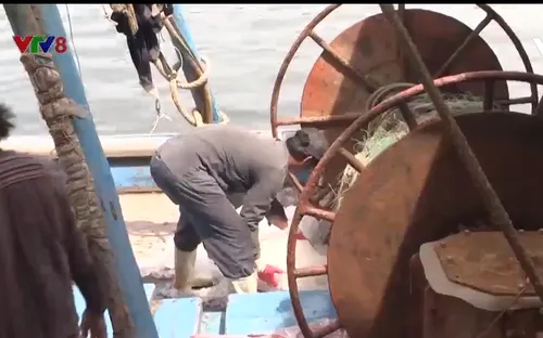 Đà Nẵng xử lý các tàu không đủ điều kiện khai thác hải sản neo đậu tại âu thuyền Thọ Quang