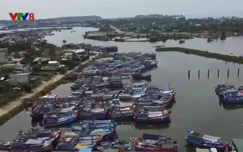 Tháo gỡ nợ xấu cho tàu cá vay vốn theo Nghị định 67