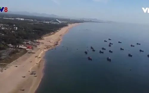 Ngư dân Quảng Nam tăng cường đánh bắt ven bờ