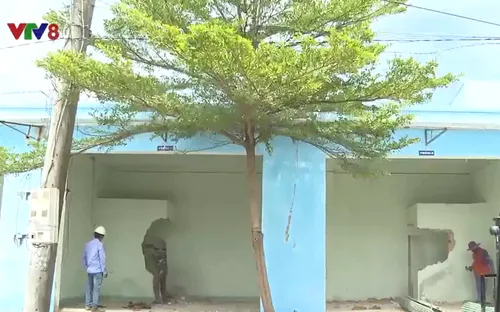 Tháo dỡ công trình trái phép tại khu hậu cần cảng cá Trà Bồng