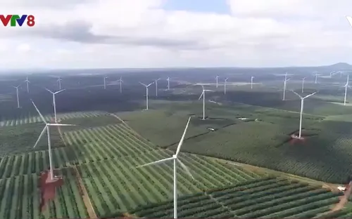 Gia Lai: Chưa có giá bán điện gió, nguy cơ lãng phí hàng nghìn tỉ đồng