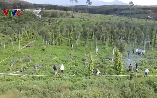 Đắk Nông rà soát kiểm điểm cán bộ cấp sai hàng loạt sổ đỏ