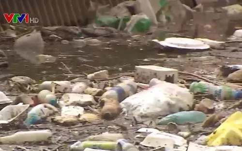 Các hồ lắng giữa trung tâm Đà Lạt lại ô nhiễm