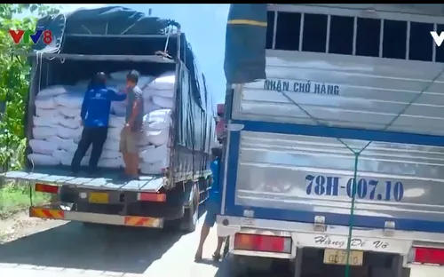 Khánh Hòa mạnh tay xử lý xe chở quá khổ quá tải trên quốc lộ