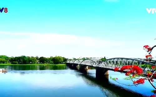 Những người chữa bệnh cho cây xanh