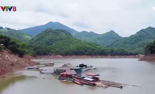 Nuôi cá lồng giữa lòng hồ thuỷ điện