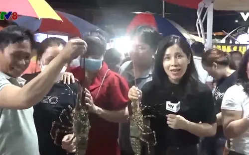 Phú Yên: Khai mạc lễ hội tôm hùm