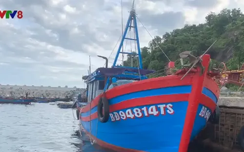Thừa Thiên Huế bắt tàu giã cào Bình Định hoạt động sai tuyến