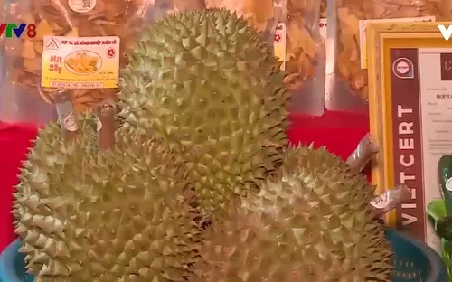 Đắk Lắk: Hội nghị kết nối nông sản Tây Nguyên