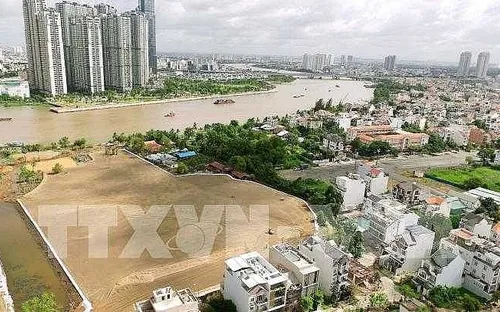 Những hệ lụy khi doanh nghiệp bỏ cọc đấu giá