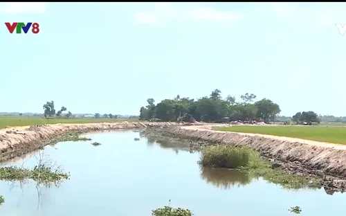 Thừa Thiên Huế điều tiết nguồn nước cho vụ Hè-Thu