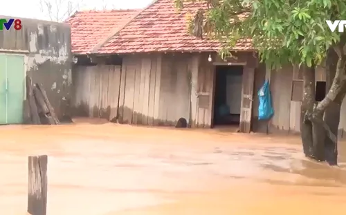 Tây Nguyên thiệt hại do mưa lớn