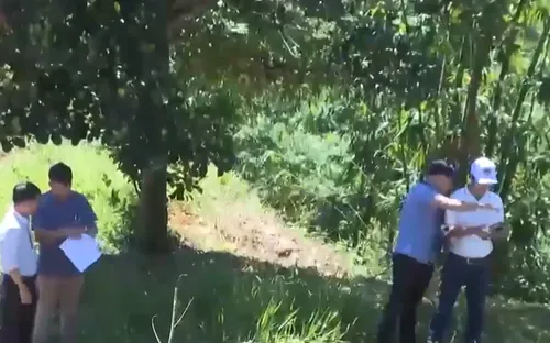 Đắk Nông: Chuyển công an điều tra vụ cấp sai 65 sổ đỏ