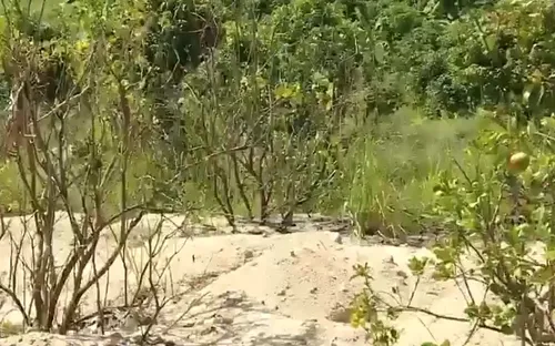 Khai thác đá vùi lấp hàng chục ngàn mét vuông vườn cây ăn trái của dân