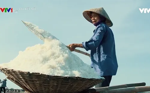 Phim tài liệu Đời muối: Cuộc sống lay lắt của những diêm dân yêu nghề