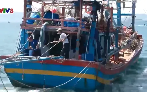 Tổ tàu thuyền an toàn giúp ngư dân giảm rủi ro trên biển