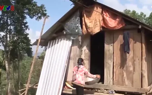 Quảng Ngãi khẩn trương bố trí tái định cư cho người dân vùng sạt lở