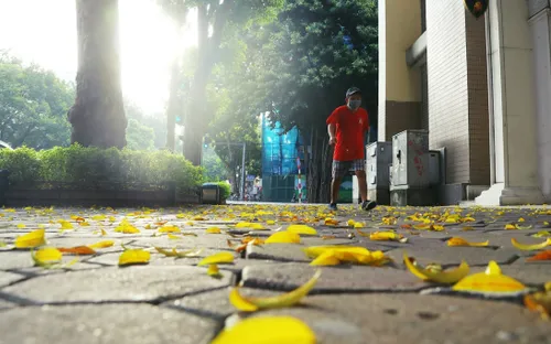 Bắc Bộ nắng nóng cục bộ, Nam Bộ mưa rào và dông