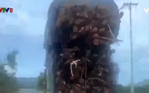 Kiểm tra tải trọng xe đầu kéo trên tuyến đường xảy ra tai nạn thảm khốc