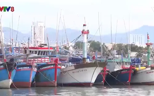 Giá dầu đã giảm: Ngư dân phấn khởi vươn khơi