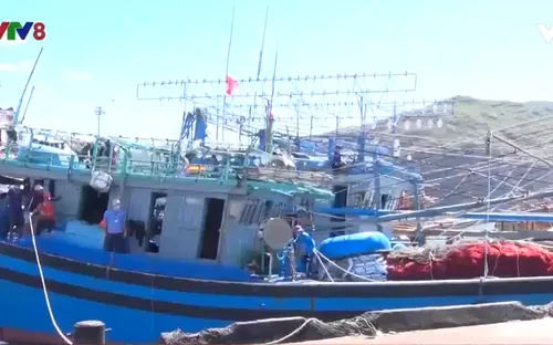 Bình Định hỗ trợ hơn 76 tỷ đồng cho tàu đánh bắt cá xa bờ