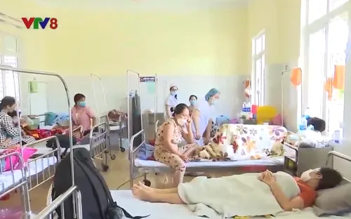 Gia Lai: Sốt xuất huyết Dengue diễn biến phức tạp
