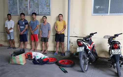 Triệt xóa nhóm đối tượng gây ra 38 vụ trộm cắp