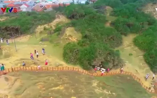 Bình Định chấm dứt hoạt động 2 dự án liên quan đến Tập đoàn FLC