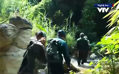 Tình yêu núi rừng bất chấp khắc nghiệt của Tổ bảo tồn voi rừng ở Nghệ An