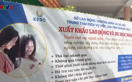 Tư vấn làm việc ở nước ngoài cho người lao động