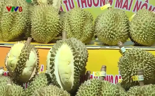 Lễ hội Sầu riêng tại Đắk Lắk