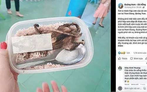 Sự thật về "hộp cơm thịt chuột" và bữa ăn "kham khổ" của học sinh mầm non ở Quảng Nam