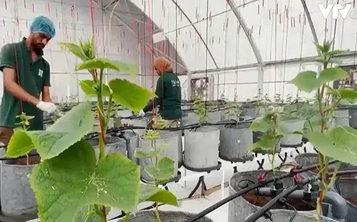 Trang trại thích ứng với biến đổi khí hậu