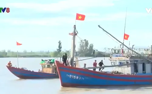 Thanh Hóa: Tàu thuyền nhộn nhịp vươn khơi