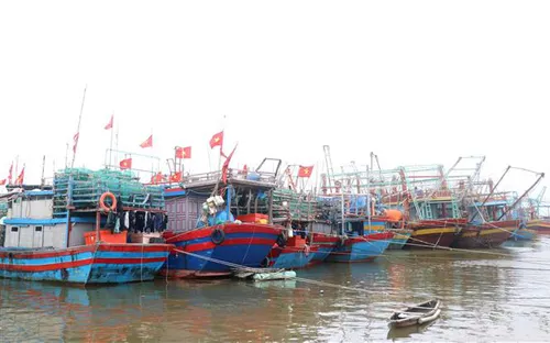 Phần lớn tàu thuyền ở Quảng Trị đã neo đậu an toàn tránh bão Noru