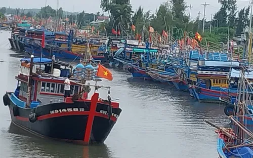 Ảnh: Neo đậu tàu cá gần khu vực cảng Sa Kỳ, Quảng Ngãi