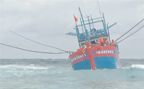 Cứu hộ tàu cá Bình Định mắc cạn tại Trường Sa