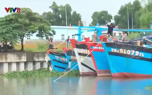 Đà Nẵng khẩn trương phòng chống bão số 4