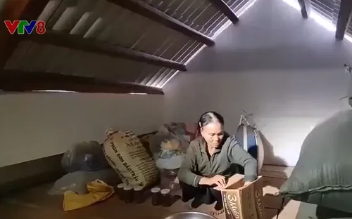 Quảng Trị chủ động ứng phó với bão