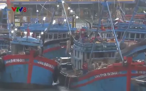 Đà Nẵng sẵn sàng ứng phó bão