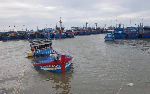 Không có thiệt hại về người, Lý Sơn tan hoang sau bão số 4